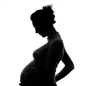 Pregnancy Photoshoots